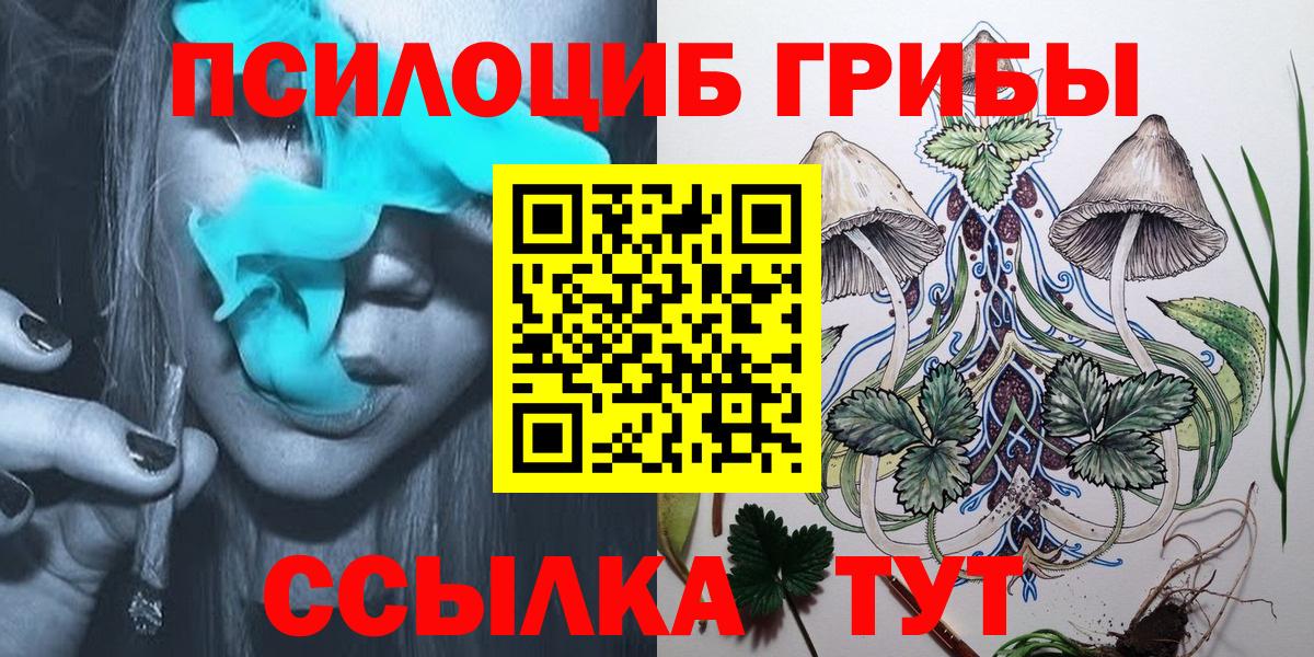 Рославль  Галлюциногенные грибы ЛСД  Вход с VPN 